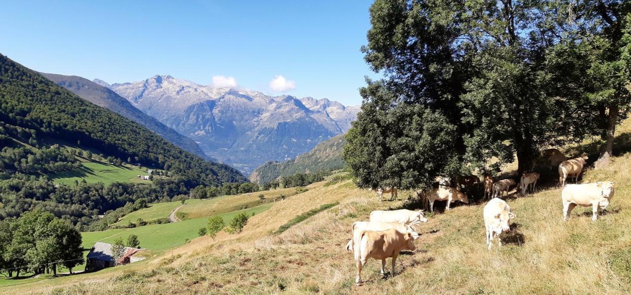 Hotel La Montagne Fleurie Barèges Eksteriør billede